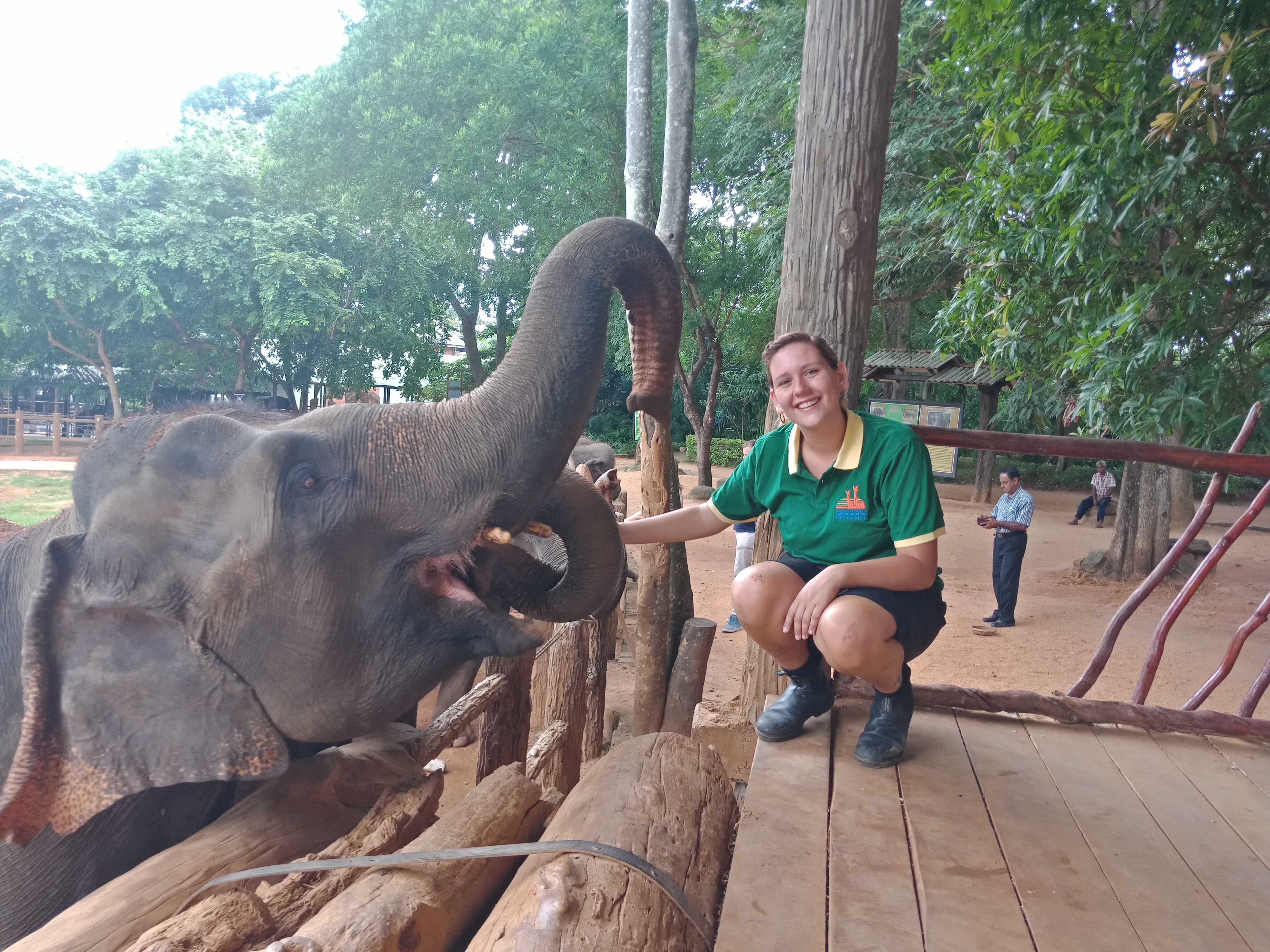 Elephant Sanctuary Volunteer